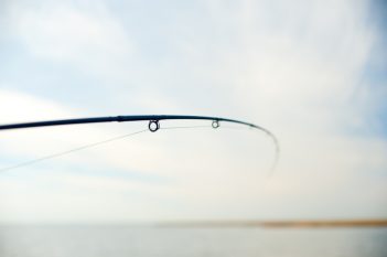 A fishing rod with a blue sky in the background.