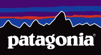 Patagonia logo with mountains in the background.