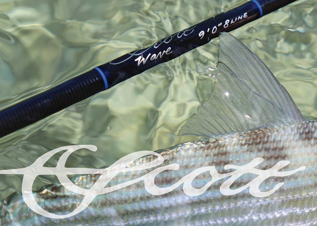 New Products from Scott Fly Rod for Fall 2022