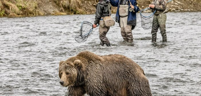 FishHound Expeditions: Fly fishing guide