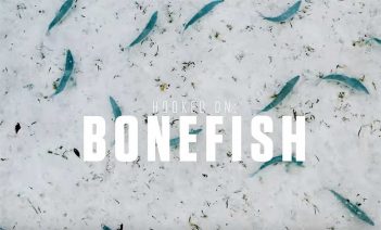 The words bonefish are written on a white background.