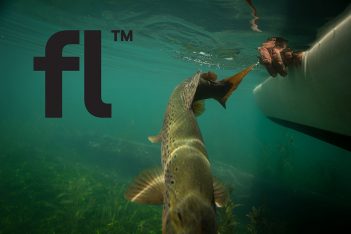 A fish swimming in the water with the word fl.