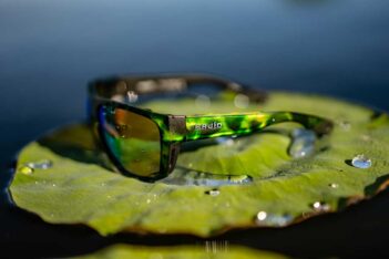 A pair of sunglasses sitting on top of a water lily.