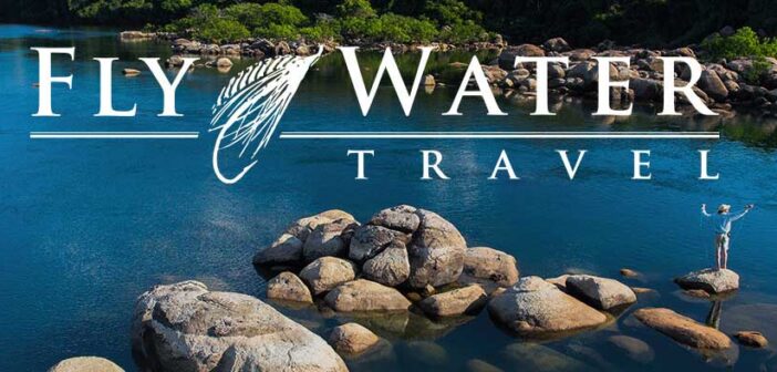 Fly water travel logo.