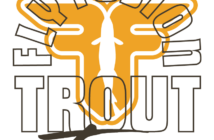 Fly fusion trout tour logo.