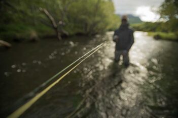 A person wading in a stream with a focus on a fishing rod in the foreground and the angler slightly blurred in the background.