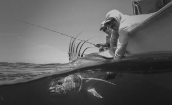 Two anglers, clad in fishing gear, lean over the side of a boat to release a large fish with long, pointed fins back into the water. The scene is captured in black and white.