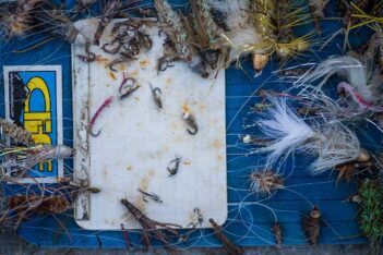 A variety of fishing flies and lures are arranged on a blue surface with a white, stained fly case and a partially visible sticker.