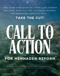 A school of fish swims underwater with bold text urging action for menhaden industry reform and reduced overharvesting, by the American Saltwater Guides Association.