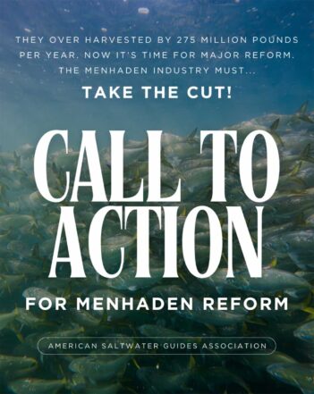 A school of fish swims underwater with bold text urging action for menhaden industry reform and reduced overharvesting, by the American Saltwater Guides Association.