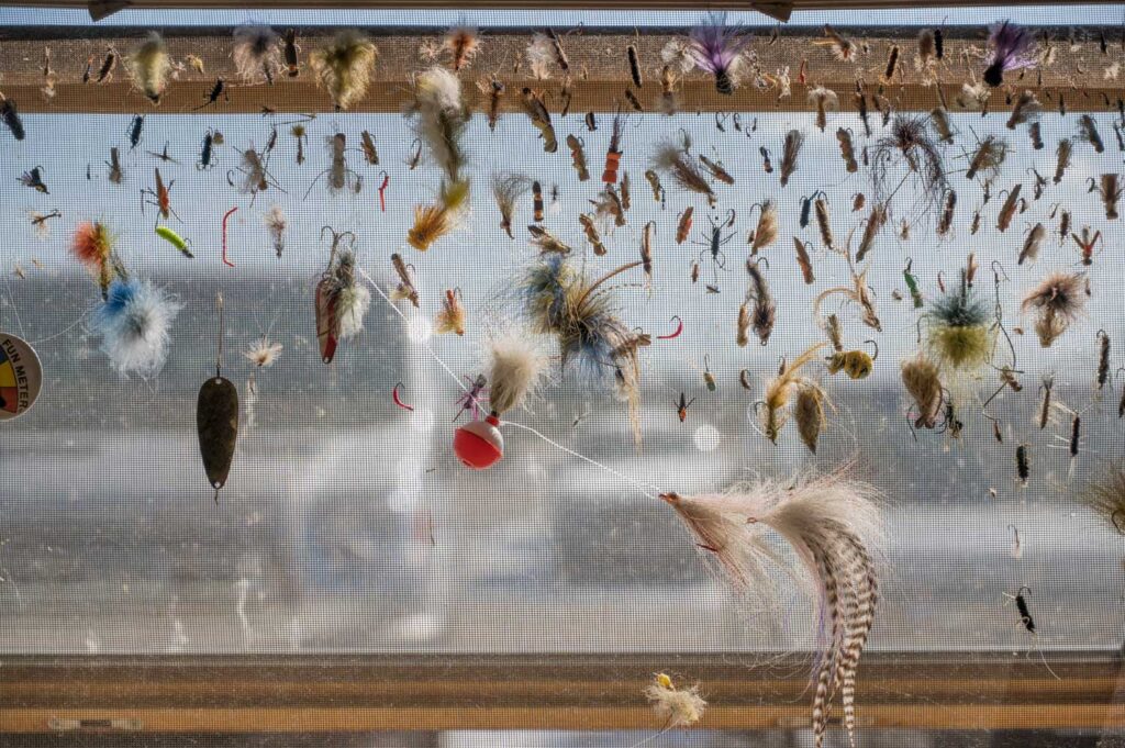 A window screen covered with various fishing flies, lures, and hooks, with sunlight shining through and a blurry outdoor background.
