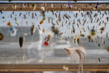 A window screen covered with various fishing flies, lures, and hooks, with sunlight shining through and a blurry outdoor background.