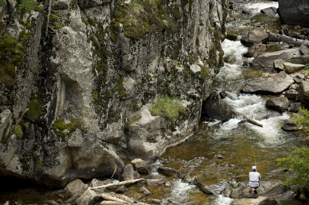 A person stands on rocks by a fast-flowing stream, fishing near a moss-covered cliff in a forested area.