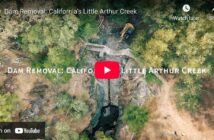 Aerial view of dam removal at Little Arthur Creek in California, with construction equipment and a partially demolished dam surrounded by trees.