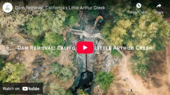 Aerial view of dam removal at Little Arthur Creek in California, with construction equipment and a partially demolished dam surrounded by trees.