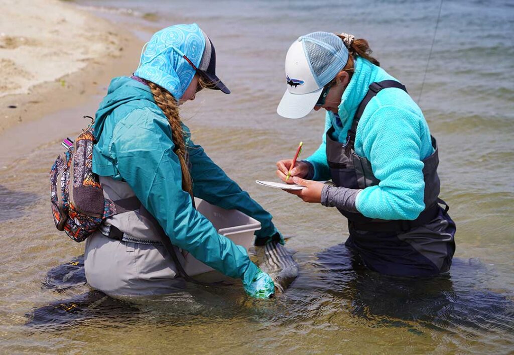 Two people in outdoor gear kneel in shallow water; one holds a fish while the other writes on a notepad.